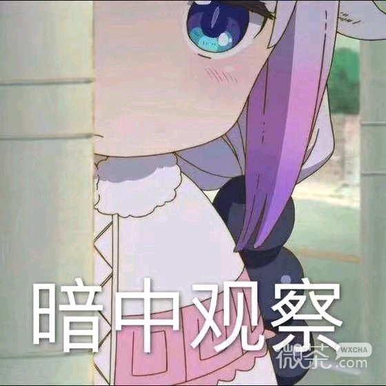 微信可爱逗比二次元人物表情包