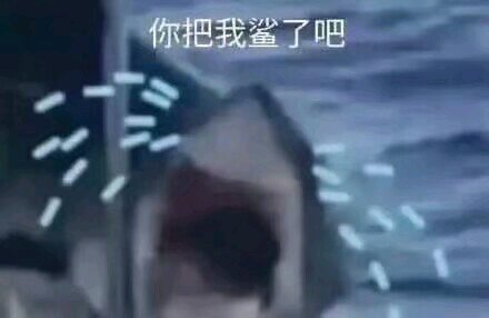 微信可爱搞怪宠物斗图表情包