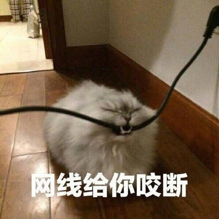 恶搞斗图傻屌微信表情包