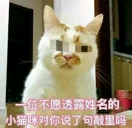 微信可爱搞怪宠物斗图表情包