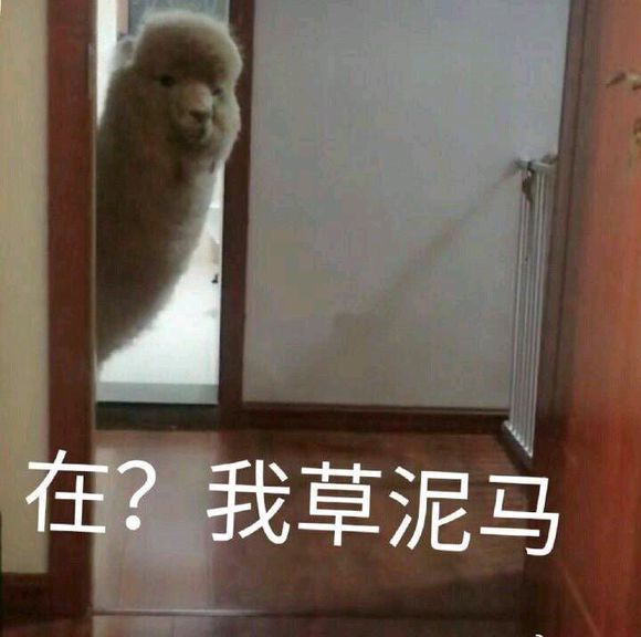 微信可爱搞怪宠物斗图表情包