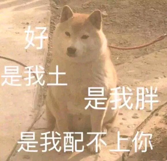 微信可爱搞怪宠物斗图表情包