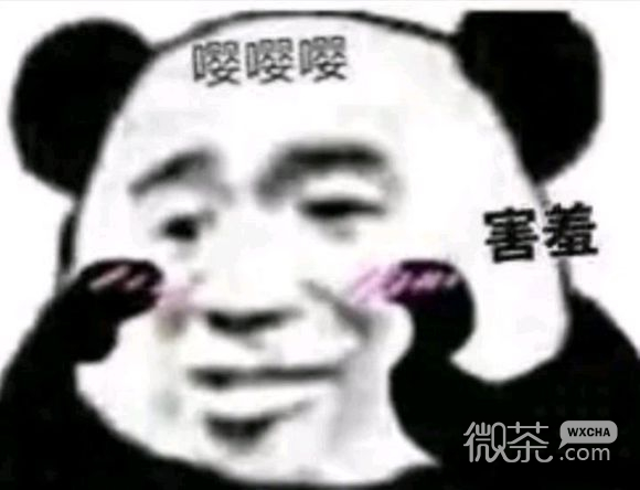 微信近期斗图恶搞表情包2019/4/23