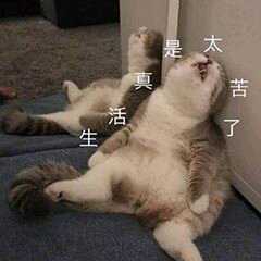 微信近期斗图恶搞表情包2019/4/23