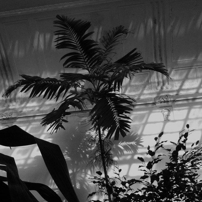 微信简洁唯美朋友圈配图