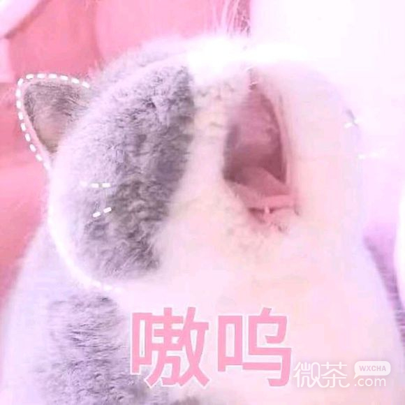 微信近期斗图恶搞表情包2019/4/23