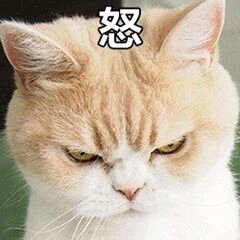 微信近期斗图恶搞表情包2019/4/23