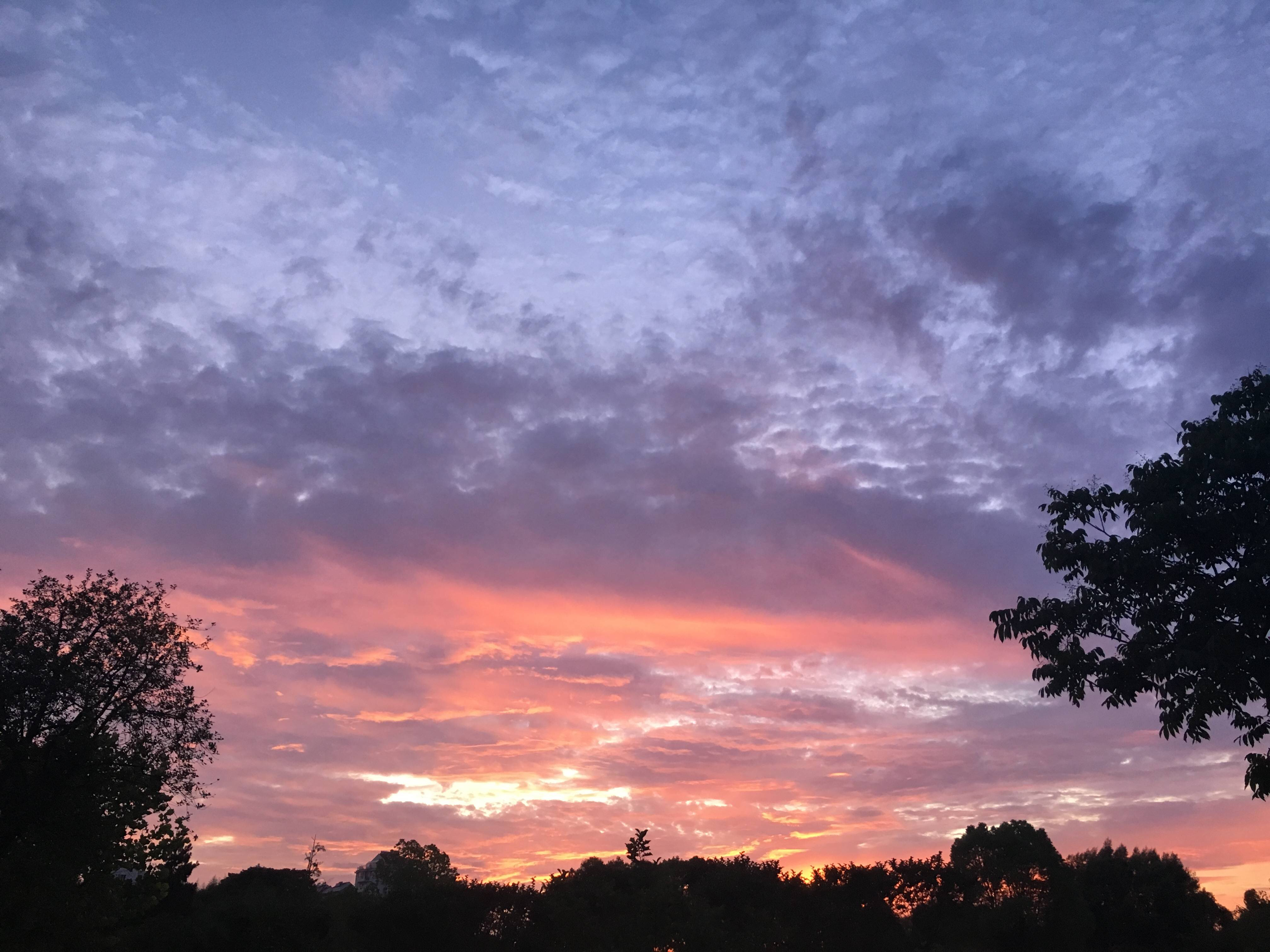 微信简洁唯美朋友圈配图