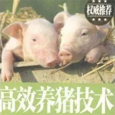微信爆火的恶搞翻书系列表情包合集下载
