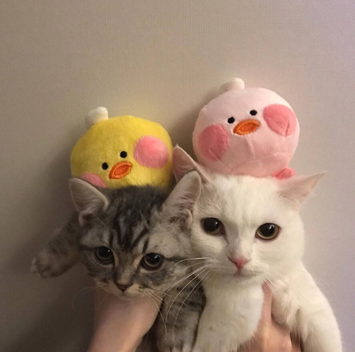 微信简洁唯美朋友圈配图