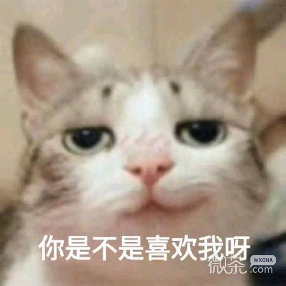 微信近期斗图恶搞表情包2019/4/23