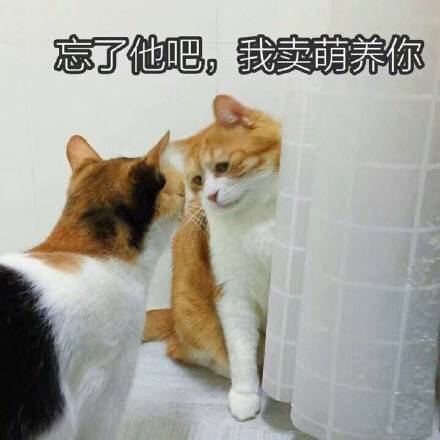 逗比搞怪傻屌斗图表情包