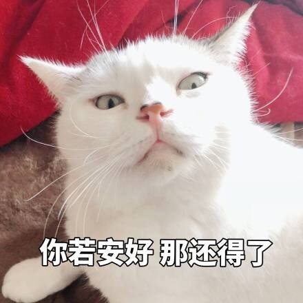 逗比恶搞斗图聊天斗图群聊微信表情包
