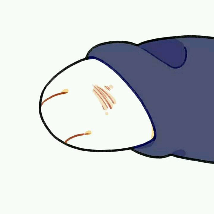 微信清新简约情侣头像