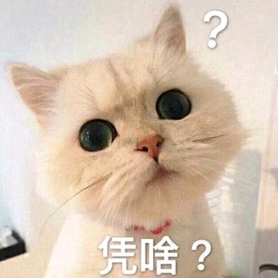 态度傲慢微信恶搞傻屌斗图表情包