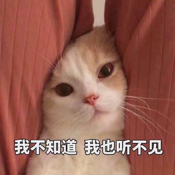 微信近期斗图恶搞表情包2019/4/25