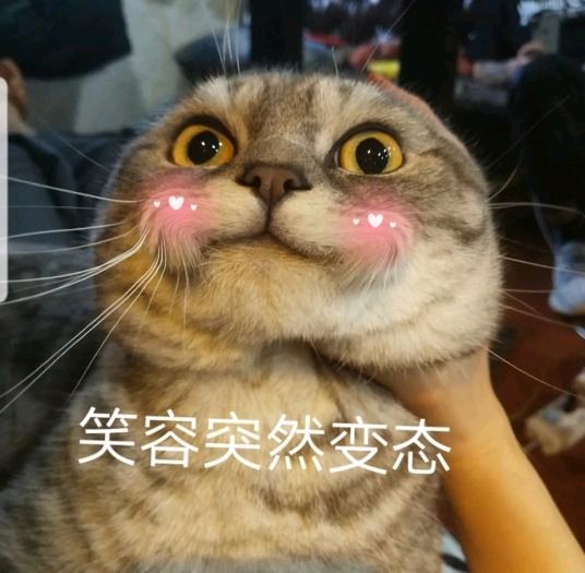 微信近期斗图恶搞表情包2019/4/25