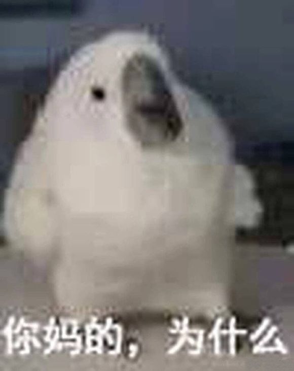 微信近期斗图恶搞表情包2019/4/25