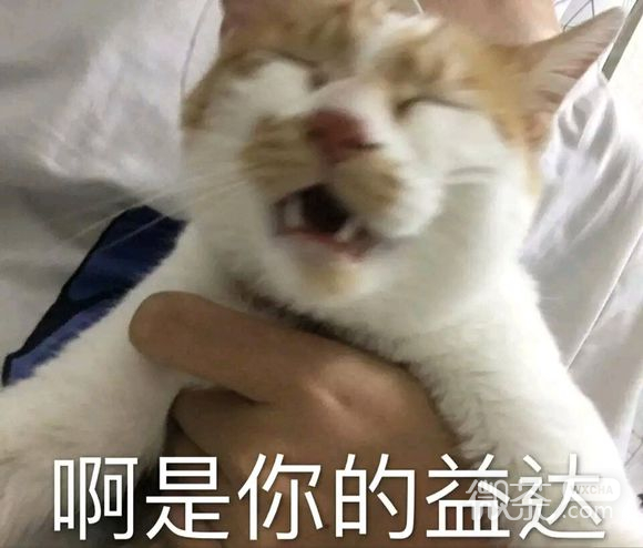 态度傲慢微信恶搞傻屌斗图表情包