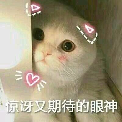 调皮恶搞傻屌斗图微信表情包