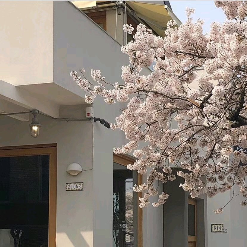 微信清新简约粉嫩朋友圈配图