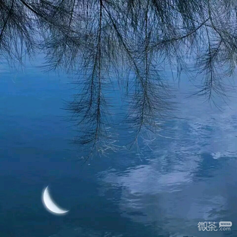 微信梦幻风景朋友圈配图