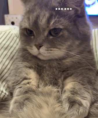 微信近期斗图恶搞表情包2019/4/25