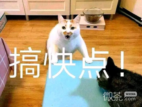 调皮恶搞傻屌斗图微信表情包