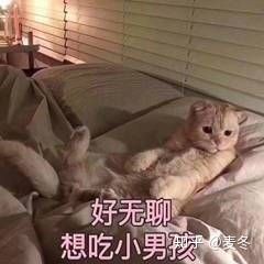 微信近期斗图恶搞表情包2019/4/25