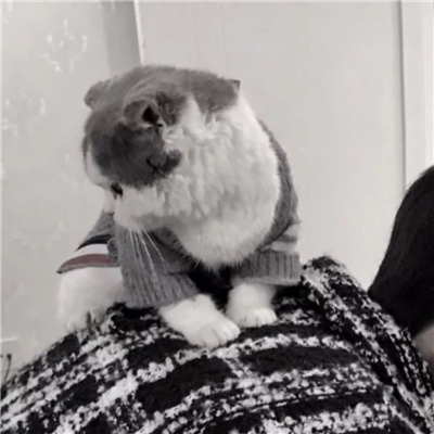 甜蜜爱情情侣微信头像