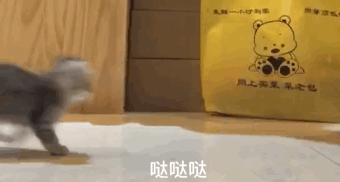 微信近期斗图恶搞表情包2019/4/25