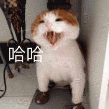 微信近期斗图恶搞表情包2019/4/25