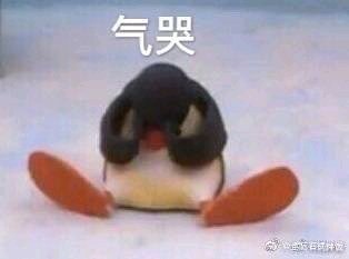 微信近期斗图恶搞表情包2019/4/25