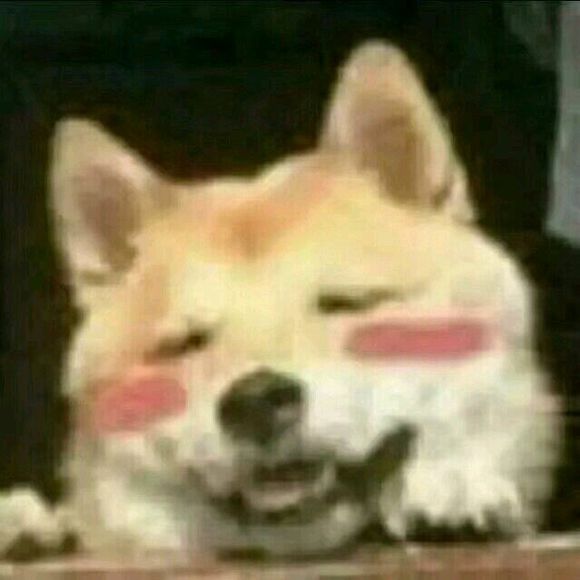 微信近期斗图恶搞表情包2019/4/25（二）