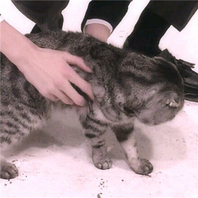 甜蜜爱情情侣微信头像