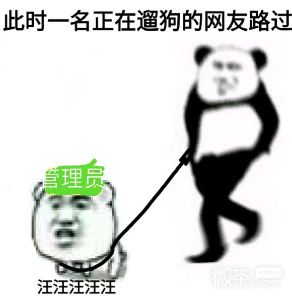 态度傲慢微信恶搞傻屌斗图表情包