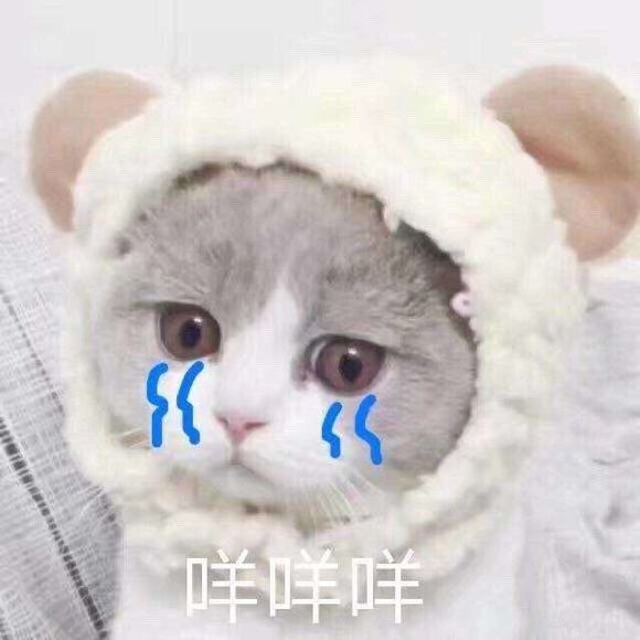 微信近期斗图恶搞表情包2019/4/25