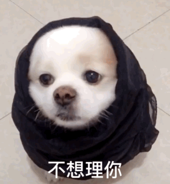 微信近期斗图恶搞表情包2019/4/25