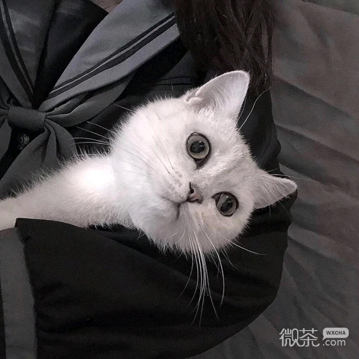 微信简洁高清气质女生头像