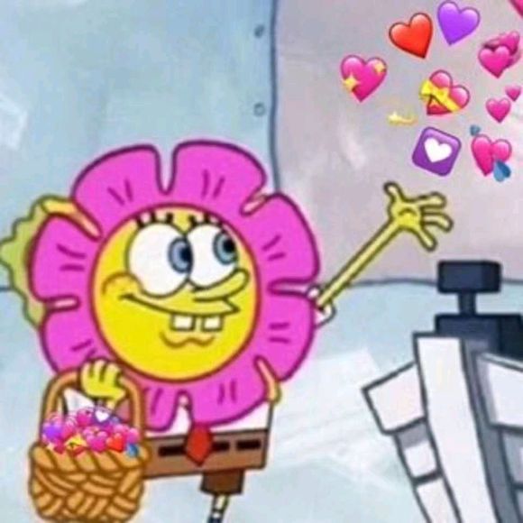 逗比傻屌微信聊天表情包