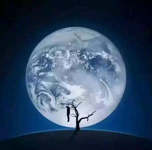 逗比傻屌微信聊天表情包