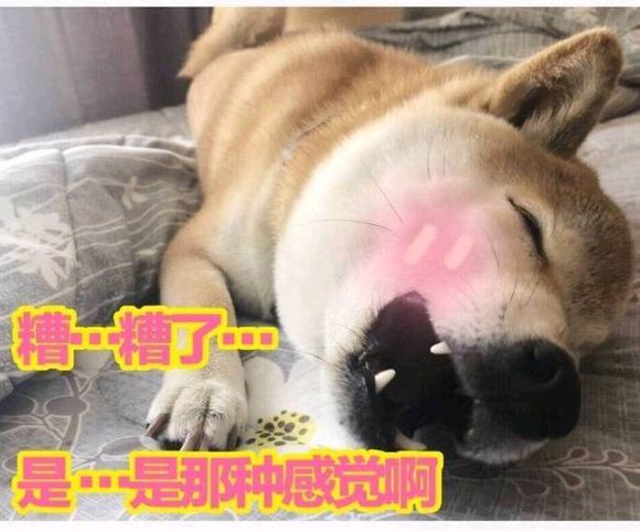 微信近期斗图恶搞表情包2019/5/1