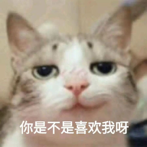 微信近期斗图恶搞傻屌表情包2019/5/2