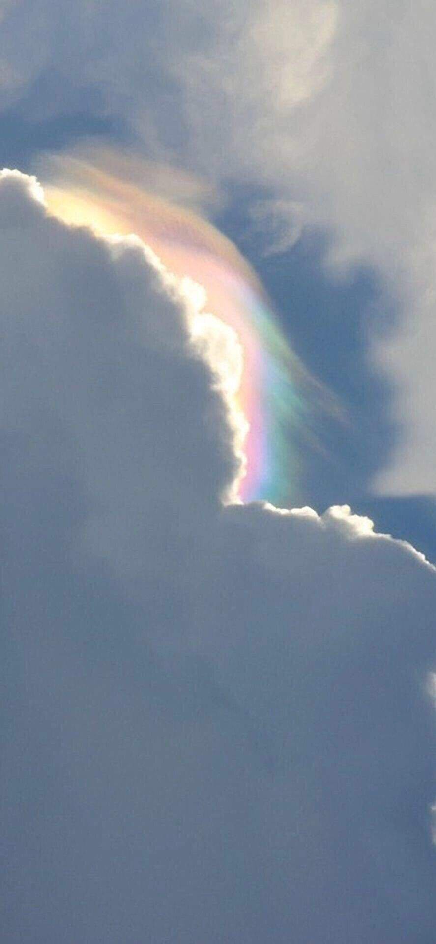 清新好看手机壁纸