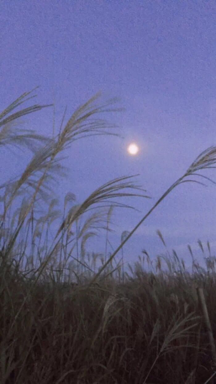 好看简洁手机壁纸