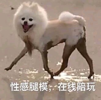 微信近期斗图恶搞表情包2019/5/1