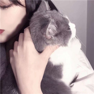 微信好看高清二次元情侣头像
