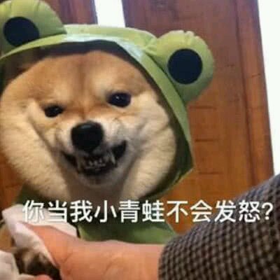 群聊搞怪恶搞傻屌微信表情包