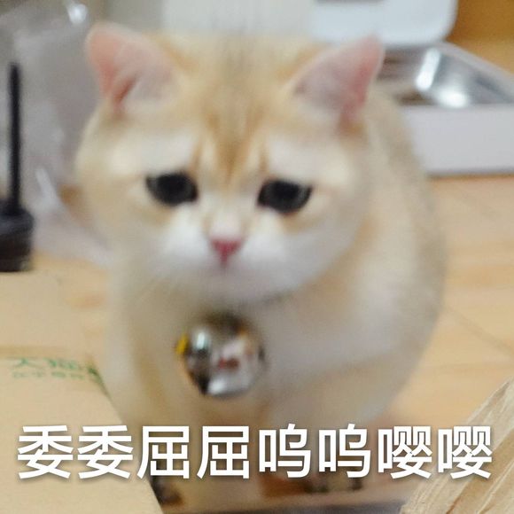 群聊搞怪恶搞傻屌微信表情包