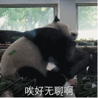 微信傻屌杂图斗图表情包